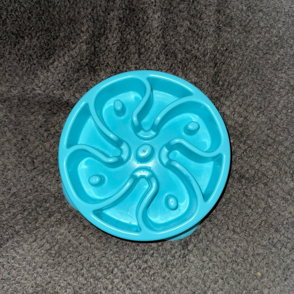 Slow-Feed Pet Bowl in Turquoise Blue for Dogs